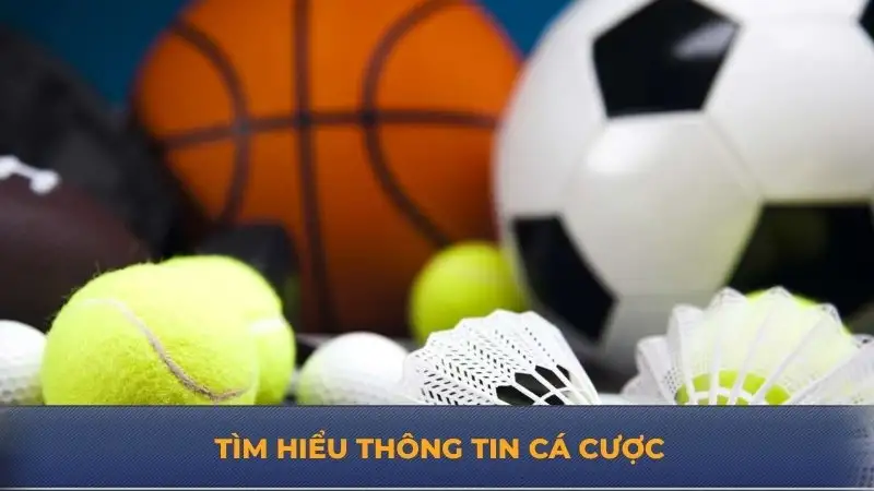 Thể thao DA88 – Tham gia cá cược đỉnh cao, tỷ lệ hấp dẫn