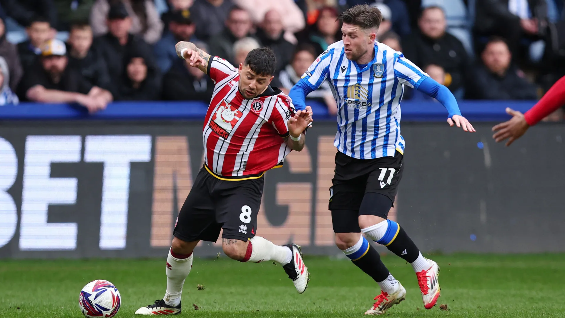 Josh Windass trong một pha bóng cùng Sheffield Wednesday