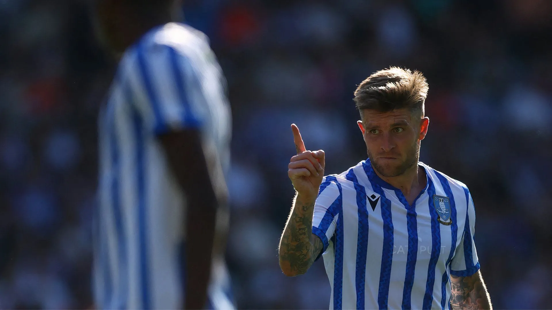 Josh Windass, tiền vệ tấn công của Sheffield Wednesday
