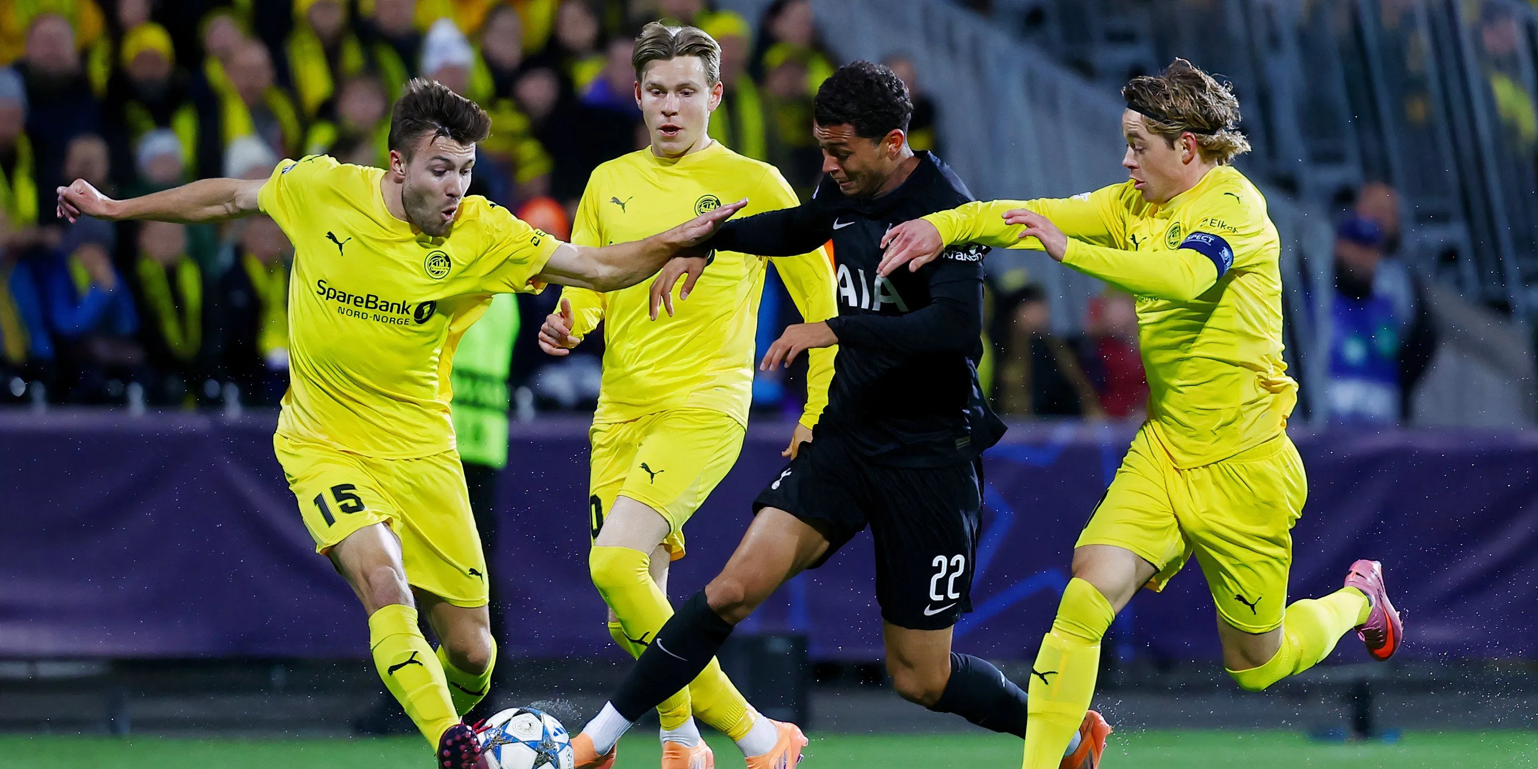 Brennan Johnson thi đấu cho Spurs ở mùa giải hiện tại